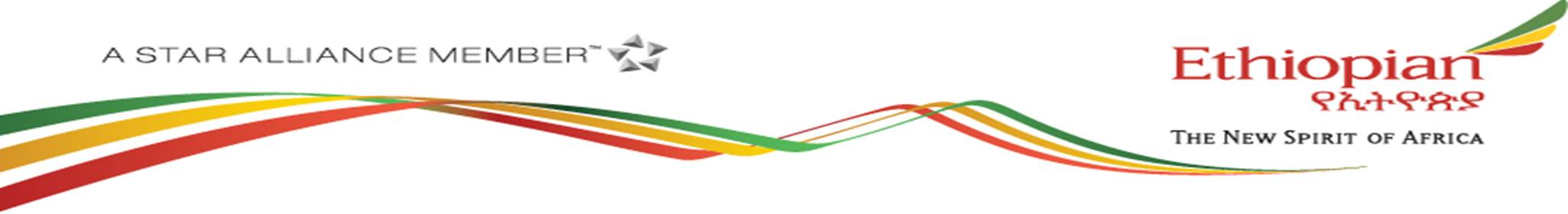 A screenshot of a computer

Description automatically generated with low confidence